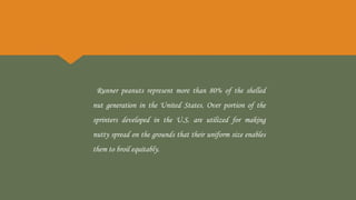 Runner peanuts represent more than 80% of the shelled
nut generation in the United States. Over portion of the
sprinters developed in the U.S. are utilized for making
nutty spread on the grounds that their uniform size enables
them to broil equitably.
 