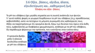 3.6 Οξέα , βάσεις, οξείδια, άλατα,
εξουδετέρωση και...καθημερινή ζωή
Έδαφος και οξέα - βάσεις
Θ.Ταντανάσης - Χημεία Α' - (ppt05) 49
To pH του εδάφους έχει μεγάλη σημασία για τη σωστή ανάπτυξη των φυτών.
Γι' αυτό πολλές φορές οι γεωργοί διορθώνουν το pH του εδάφους (π.χ. προσθέτοντας
ασβεστόλιθο), ώστε να πετύχουν τη μέγιστη συγκομιδή στις καλλιέργειές τους.
Αξίζει να παρατηρήσουμε ότι ορισμένα φυτά, λόγω των δεικτών που έχουν στα άνθη
τους, εμφανίζονται με διαφόρους χρωματισμούς, ανάλογα με το pH του εδάφους.
Ως παράδειγμα φέρνουμε την ορτανσία, που εικονίζεται στην εικόνα κάτω.
Η ορτανσία βγάζει
μπλε ή κόκκινα
λουλούδια ανάλογα
με pH του εδάφους ΒΑΘΥ
ΜΠΛΕ
ΡΟΖ
ΜΩΒ
ΒΑΘΥ
ΡΟΖ
 