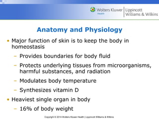 Anatomy and Physiology 
• Major function of skin is to keep the body in 
homeostasis 
– Provides boundaries for body fluid 
– Protects underlying tissues from microorganisms, 
harmful substances, and radiation 
– Modulates body temperature 
– Synthesizes vitamin D 
• Heaviest single organ in body 
– 16% of body weight 
Copyright © 2014 Wolters Kluwer Health | Lippincott Williams & Wilkins 
 