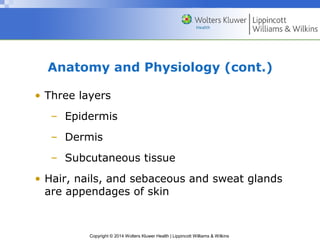 Anatomy and Physiology (cont.) 
• Three layers 
– Epidermis 
– Dermis 
– Subcutaneous tissue 
• Hair, nails, and sebaceous and sweat glands 
are appendages of skin 
Copyright © 2014 Wolters Kluwer Health | Lippincott Williams & Wilkins 
 