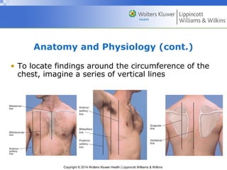 Line Between Chest Ppt08 | PPT