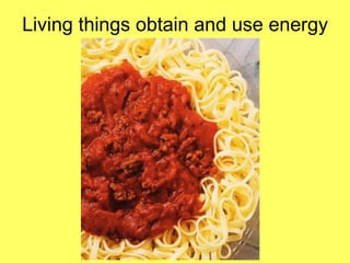 Living things obtain and use energy 