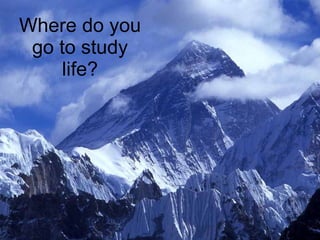 Where do you go to study life? 