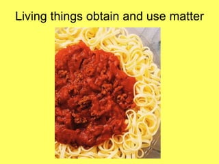 Living things obtain and use matter 