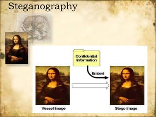 Steganography 