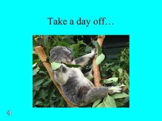 Take a day off…