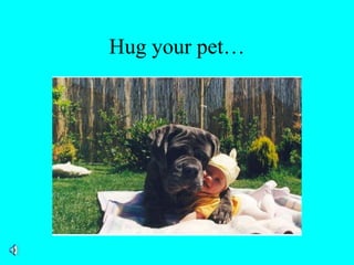 Hug your pet…