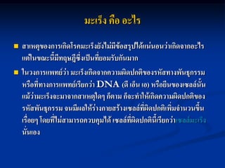 มะเร็ง คือ อะไร
   สาเหตุของการเกิดโรคมะเร็งยังไม่มีข้อสรุปได้แน่นอนว่าเกิดจากอะไร
    แต่ในขณะนี้มีทฤษฎีซึ่งเป็นที่ยอมรับกันมาก
   ในวงการแพทย์ว่า มะเร็งเกิดจากความผิดปกติของรหัสทางพันธุกรรม
    หรือที่ทางการแพทย์เรียกว่า DNA (ดี เอ็น เอ) หรือยีนของเซลล์นั้น
    แม้ว่ามะเร็งจะมาจากสาเหตุใดๆ ก็ตาม ก็จะทาให้เกิดความผิดปกติของ
    รหัสพันธุกรรม จนมีผลให้ร่างกายสร้างเซลล์ที่ผิดปกติเพิ่มจานวนขึ้น
    เรื่อยๆ โดยที่ไม่สามารถควบคุมได้ เซลล์ที่ผิดปกตินี้เรียกว่าเซลล์มะเร็ง
    นั่นเอง
 