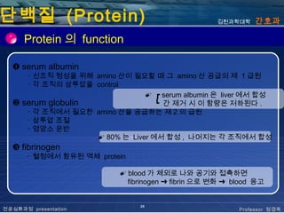 단백질 (Protein)                                         김천과학대학    간호과

      Protein 의 function

  ❶ serum albumin
       ･ 신조직 형성을 위해 amino 산이 필요할 때 그 amino 산 공급의 제 1 급원
       ･ 각 조직의 삼투압을 control
                                 ✐ ┏ serum albumin 은 liver 에서 합성 
  ❷   serum globulin                ┗ 간 제거 시 이 함량은 저하된다 .
       ･ 각 조직에서 필요한 amino 산을 공급하는 제 2 의 급원
       ･ 삼투압 조절
       ･ 영양소 운반
                     ✐ 80% 는 Liver 에서 합성 , 나머지는 각 조직에서 합성
  ❸ fibrinogen
       ･ 혈청에서 함유된 액체 protein

                             ✐ blood 가 체외로 나와 공기와 접촉하면
                               fibrinogen ➜ fibrin 으로 변화 ➜ blood 응고


                                  26
전공심화과정 presentation                                         Professor 정경옥
 