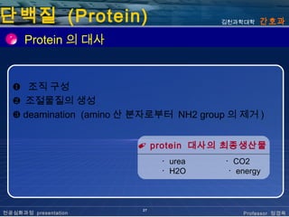 단백질 (Protein)                          김천과학대학   간호과

      Protein 의 대사


  ❶ 조직 구성
  ❷ 조절물질의 생성
  ❸ deamination (amino 산 분자로부터 NH2 group 의 제거 )


                        ✐ protein 대사의 최종생산물
                              ･ urea    ･ CO2
                              ･ H2O      ･ energy



                         27
전공심화과정 presentation                         Professor 정경옥
 