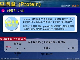 단백질 (Protein)                                    김천과학대학   간호과

      생물적 가치

                      ･ protein 섭취량이 부족하거나 , 과량을 섭취한 경우
   실이용률                 protein 이 E 원으로 이용되어 protein 실이용율이↓
    (NPU)             ･ 완전 소화력을 지닌 protein 은 생물가와 동일하지만
                        소화력이 떨어지는 protein 은 생물가보다 ↓



실이용률을 구하는 공식
                           식이질소량– ( 소변질소량 + 대변질
              보유된
     NPU
                 N     =                소량 )          × 100
     =
              섭취된
                                       식이질소량
               N
                                  29
전공심화과정 presentation                                   Professor 정경옥
 