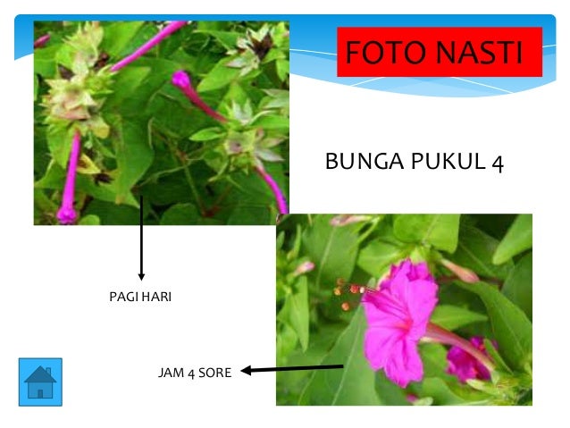 Ppt 1. gerak tumbuhan by :Henie , S.Pd.