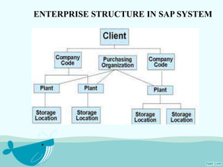 ENTERPRISE STRUCTURE IN SAP SYSTEM 
 
