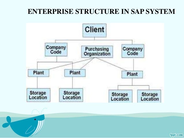 sap mm resume