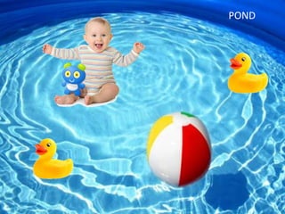 POND
 