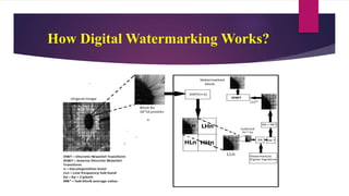 How Digital Watermarking Works?
 