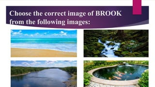 Choose the correct image of BROOK
from the following images:
 