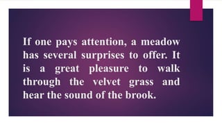 If one pays attention, a meadow
has several surprises to offer. It
is a great pleasure to walk
through the velvet grass and
hear the sound of the brook.
 