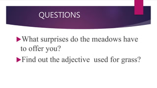 QUESTIONS
What surprises do the meadows have
to offer you?
Find out the adjective used for grass?
 