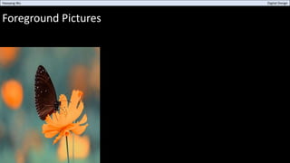 Foreground Pictures
Haoyang Wu Digital Design
 