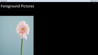 Foreground Pictures
Haoyang Wu Digital Design
 