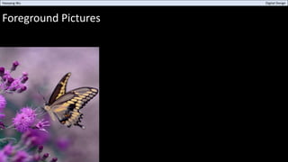 Foreground Pictures
Haoyang Wu Digital Design
 