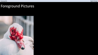 Foreground Pictures
Haoyang Wu Digital Design
 