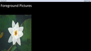 Foreground Pictures
Haoyang Wu Digital Design
 