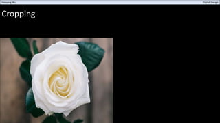 Cropping
Haoyang Wu Digital Design
 