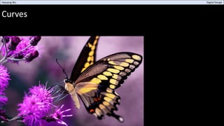 Curves
Haoyang Wu Digital Design
 