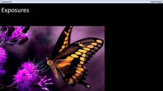 Exposures
Haoyang Wu Digital Design
 