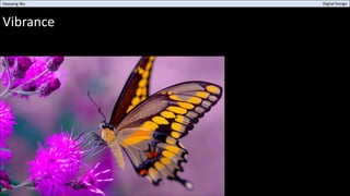 Vibrance
Haoyang Wu Digital Design
 
