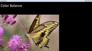 Color Balance
Haoyang Wu Digital Design
 