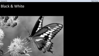 Black & White
Haoyang Wu Digital Design
 