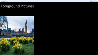 Foreground Pictures
Haoyang Wu Digital Design
 