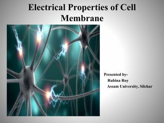 Electrical Properties of Cell
Membrane
Presented by-
Rubina Roy
Assam University, Silchar
 