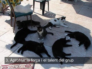 3. Aprofitar la força i el talent del grup
 