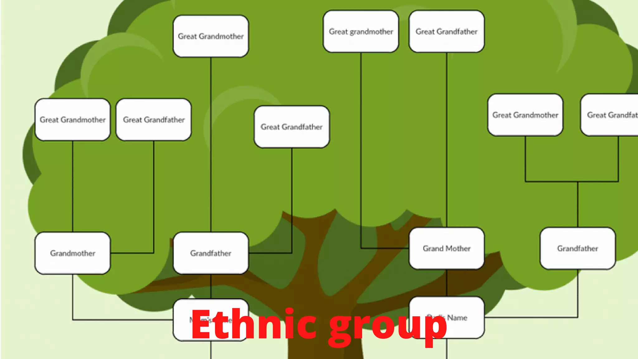 Ethnic group
 
