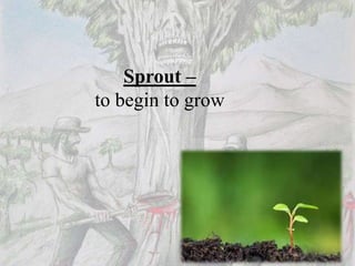 Sprout –
to begin to grow
 