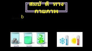 สมบั ติ ทาง
กายภาพ
เ
ป
็
น
ส
ม
บั
ติ
ทั่
ว
ๆ ไ
ป
ข
อ
ง
ส
า
ร
ที่
ส
า
ม
า
ร
ถ
สั
ง
เ
ก
ต
ไ
ด้
จ
า
ก
ภ
า
ย
น
อ
ก
โ
ด
ย
ไ
ม่
มี
ก
า
ร
เ
ป
ลี่
ย
น
แ
ป
ล
ง
อ
ง
ค์
ป
ร
ะ
ก
อ
บ
ข
อ
ง
ส
า
ร เ
ช่
น ก
ลิ่
น จุ
ด
เ
ดื
อ
ด จุ
ด
ห
ล
อ
ม
เ
ห
ล
ว ส
ถ
า
น
ะ ค
ว
า
ม
ห
น
า
แ
น่
น
 