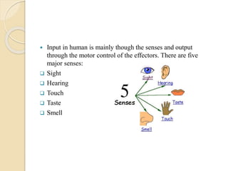 Introduction to Human Computer Interaction .pdf