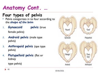 PPT1. Anatomy of Female Reproductive Organ (3).pptx