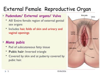 PPT1. Anatomy of Female Reproductive Organ (3).pptx