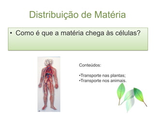 Distribuição de Matéria
• Como é que a matéria chega às células?



                     Conteúdos:

                     •Transporte nas plantas;
                     •Transporte nos animais.
 