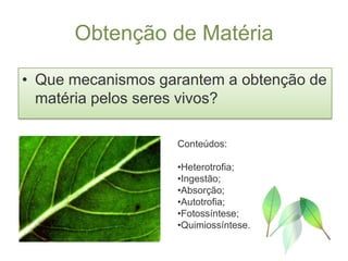 Obtenção de Matéria

• Que mecanismos garantem a obtenção de
  matéria pelos seres vivos?

                   Conteúdos:

                   •Heterotrofia;
                   •Ingestão;
                   •Absorção;
                   •Autotrofia;
                   •Fotossíntese;
                   •Quimiossíntese.
 