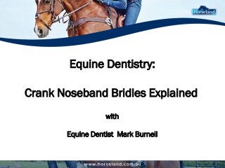 Equine Dentistry:
Crank Noseband Bridles Explained
with
Equine Dentist Mark Burnell
 