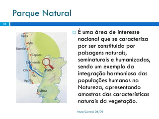 Ppt 1   PreservaçãO Da Biodiversidade