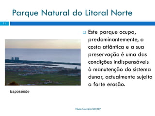 Ppt 1   PreservaçãO Da Biodiversidade