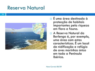 Ppt 1   PreservaçãO Da Biodiversidade