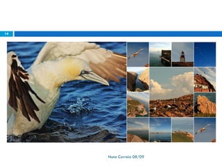 Ppt 1   PreservaçãO Da Biodiversidade